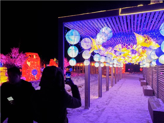 景區(qū)亮化工程