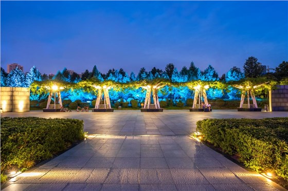 樹木亮化工程-2